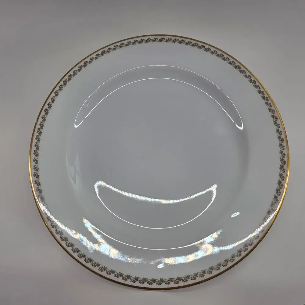 Haviland Limoges France Floral Gold Rim Dinner Plates Lot of 6 10